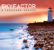 Sky Blues guitarists/bassists Jon Rubin and Cliff Rubin's new band SKYFACTOR